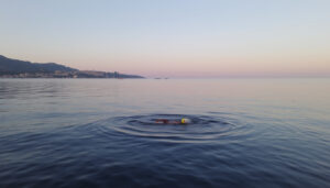 Sean McCann – Swimmer and brother of Madeleine McCann